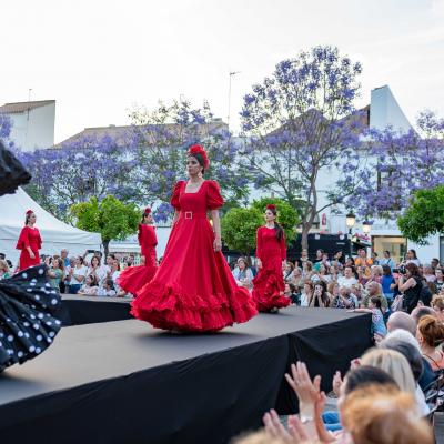 Desfile Universi 164