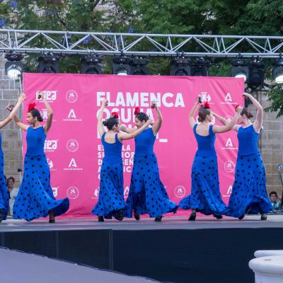 Desfile Universi 217