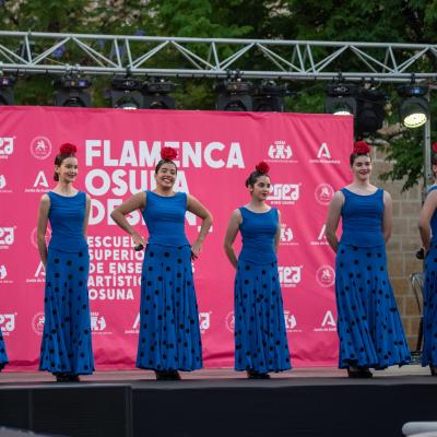 Desfile Universi 219