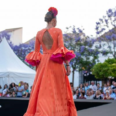 Desfile Universidad 1 17