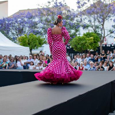 Desfile Universidad 1 27